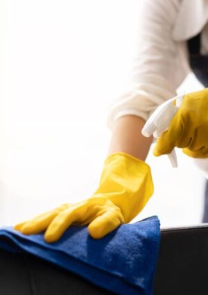 Limpeza pré mudança