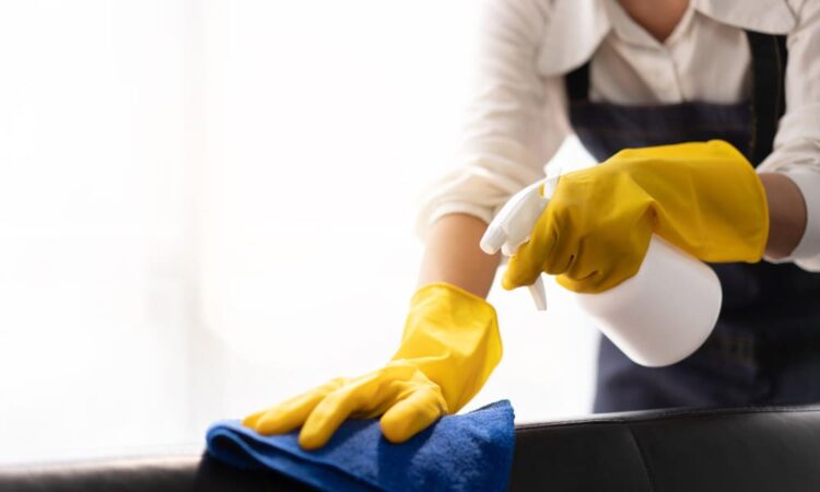 Limpeza pré mudança