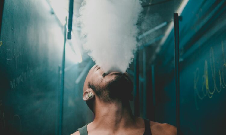 Sistema de gestão para tabacaria e headshop