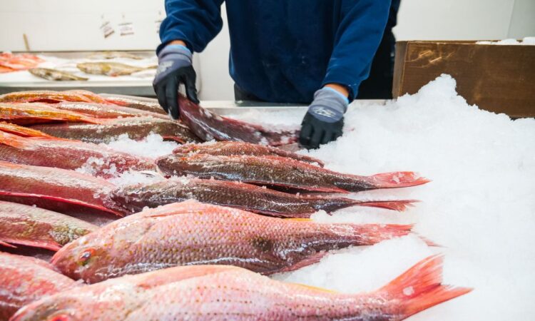 Pescados refrigerados